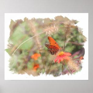 Poster Gulf Fritillon on Zinnia Watercolor Print