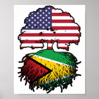 Guyane Guyane Américaine Etats-Unis Drapeau des ra