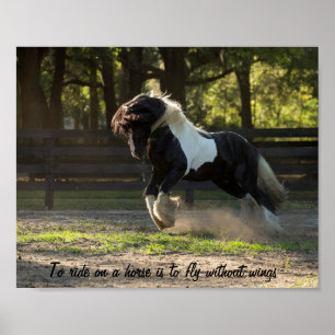 Poster Gypsy Gold Vanner prend son envol