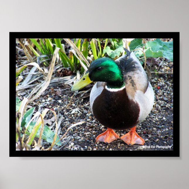 Poster Habillez pour impressionner (Devant)