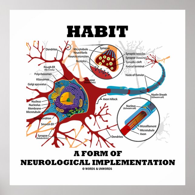 Poster Habit Une Forme De Neurologie Mise En Oeuvre Neuro (Devant)