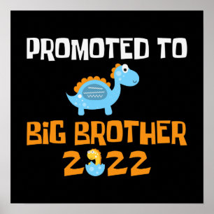 Poster Hachage D'Oeufs De Dinosaure Promu À Big Brother