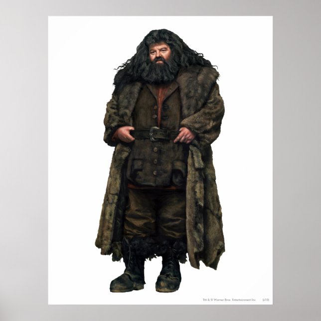 Poster Hagrid (Devant)