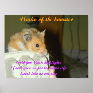 Poster Haiku du Hamster 1