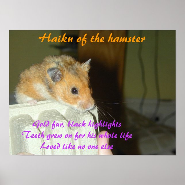 Poster Haiku du Hamster 1 (Devant)