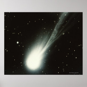 Poster Halleys Comet