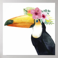 Halo tropical - Toucan