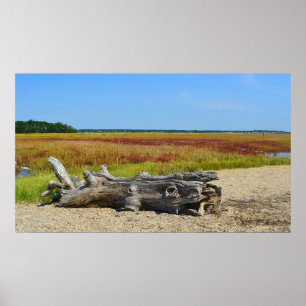 Poster Hammonasset Driftwood