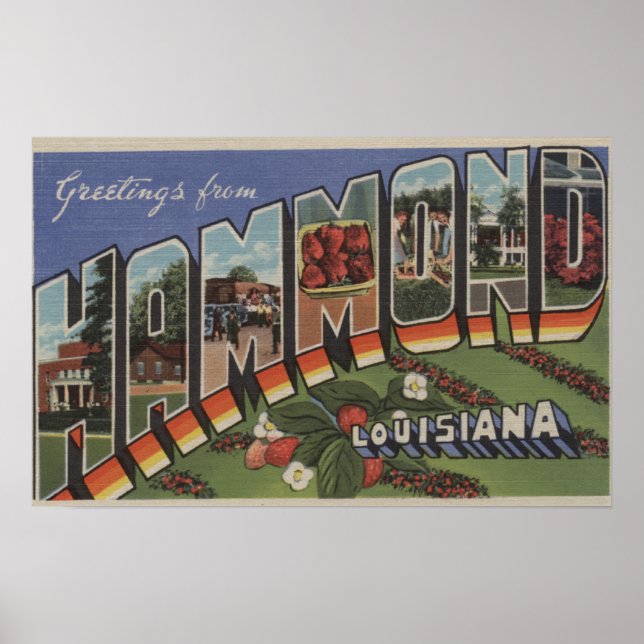 Poster Hammond, Louisiane - Scènes de grandes lettres (Devant)