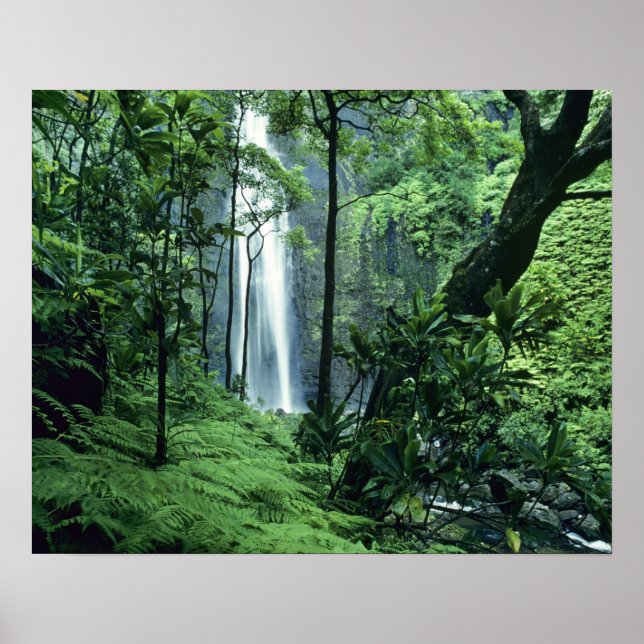 Poster Hanakapiai Chutes le long de la côte Na Pali, Kaua (Devant)
