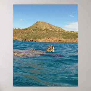 Poster Hanauma Bay Hawaii