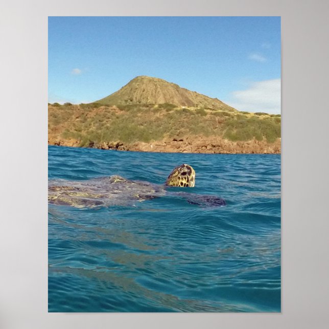 Poster Hanauma Bay Hawaii (Devant)
