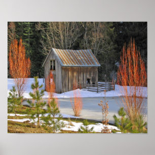 Poster Hangar de neige