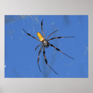 Poster Hangin' Out