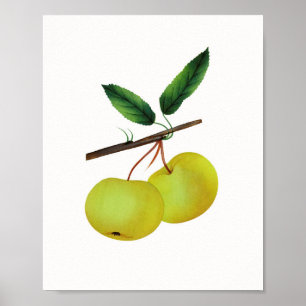 Poster Hanging Soulard Pomme Fruit