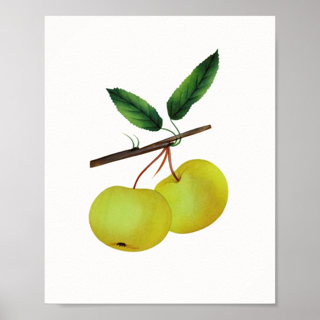 Poster Hanging Soulard Pomme Fruit (Devant)