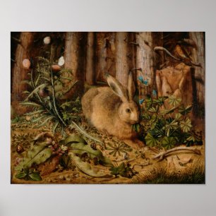 Poster Hans Hoffmann Un Lièvre Dans La Forêt