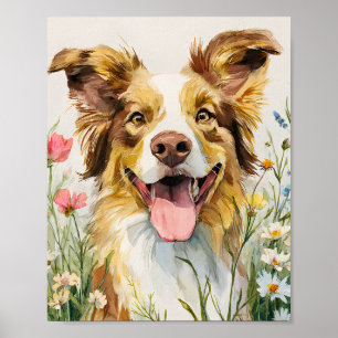 Poster Happy Australian Shepherd in Flowers - Aquarelle
