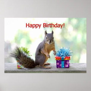 Poster Happy Birthday Squirrel