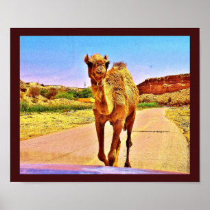 Poster Happy Camel