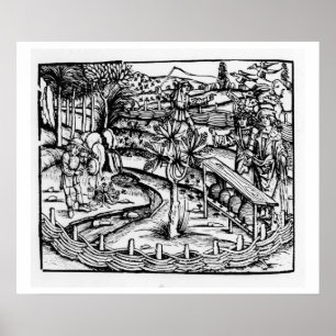 Poster Happy husbandsmen tending bees, illustration from