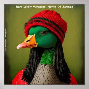 Poster Hararious Jamaïcain Reggae