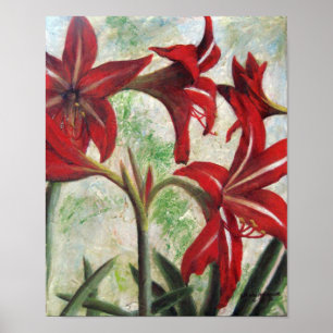 Poster Hardy Amaryllis