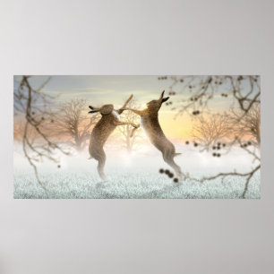 Poster Hares de boxe