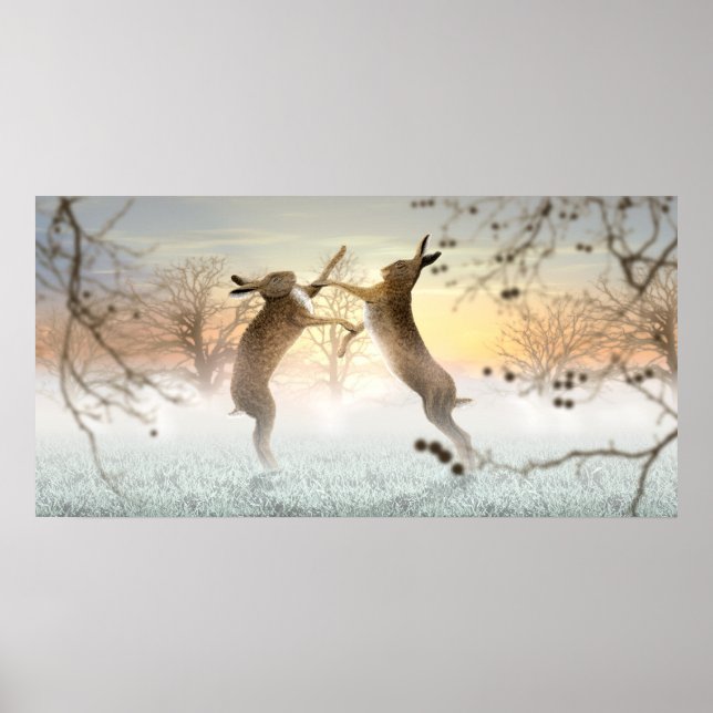 Poster Hares de boxe (Devant)