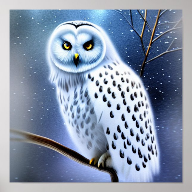 Poster Harfang des neiges (Devant)