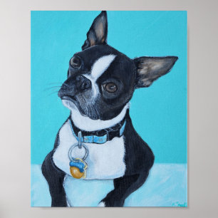 Poster Haricots the Boston Terrier Painting