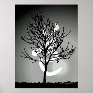 Poster Harmonie de 道 paisible de rayonnement/Tao (tba)