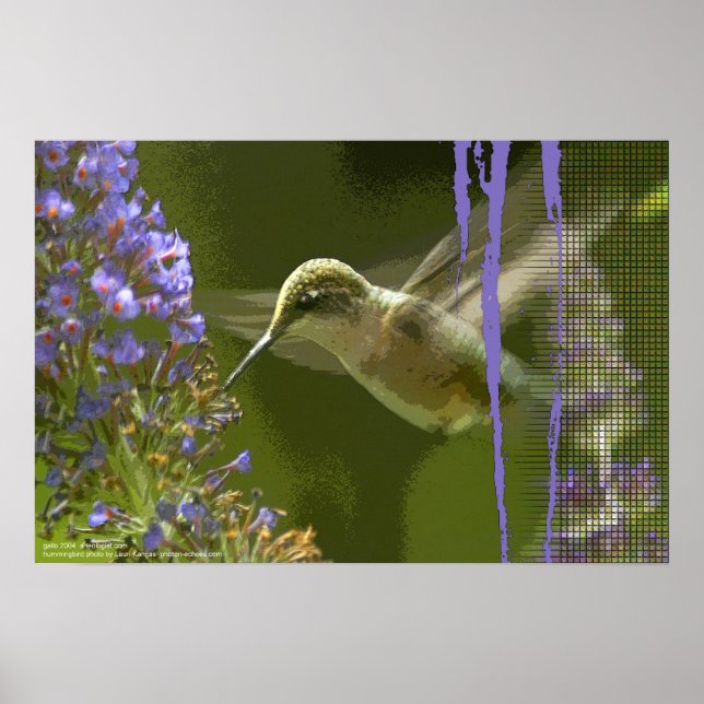Poster Harmonie des colibris par Gregory Gallo (Devant)