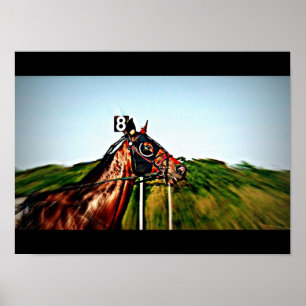 Poster Harness Racing