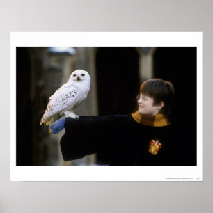 Poster Harry et Hedwig 3