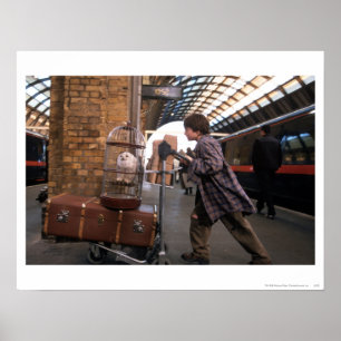 Poster Harry et Hedwig PLATFORM 9 3/4™