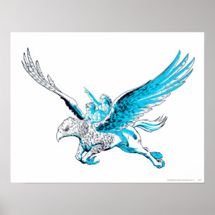 Poster Harry et Hermione sur un Hippogriff