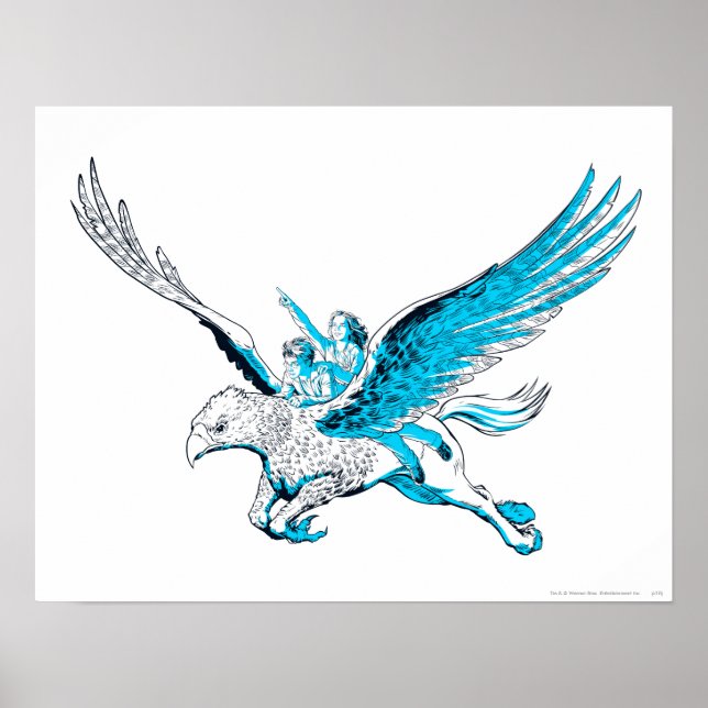 Poster Harry et Hermione sur un Hippogriff (Devant)