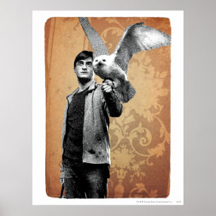 Poster Harry Potter 12