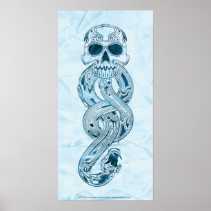 Poster Harry Potter   Aguamenti Marque des Ténèbres Graph