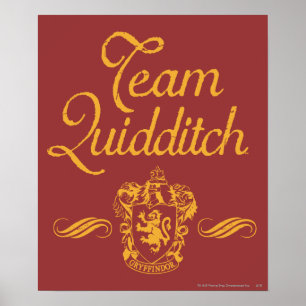 Poster Harry Potter   Équipe QUIDDITCH™