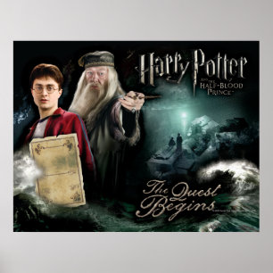 Poster Harry Potter et Dumbledore