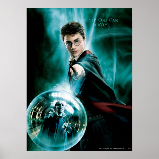 Poster Harry Potter et Voldemort un seul peut survivre (Devant)