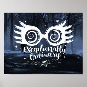 Poster Harry Potter   Exceptionnellement ordinaire