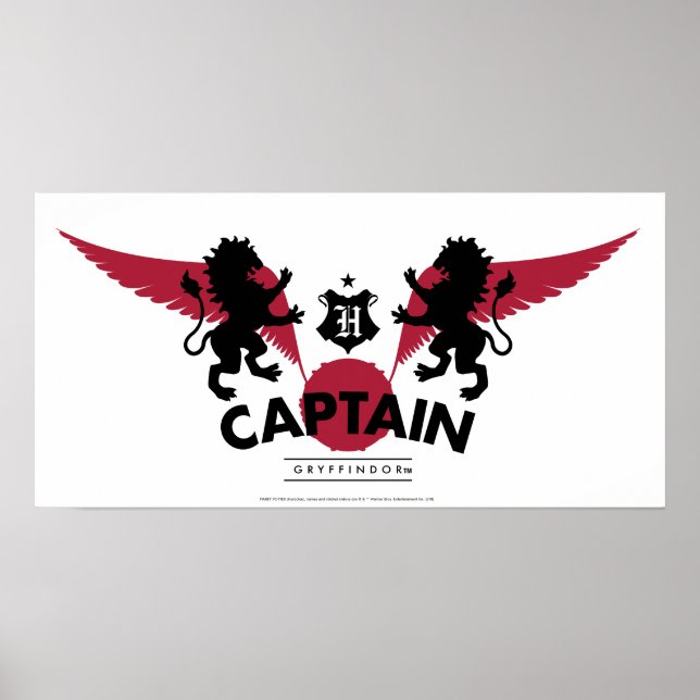 Poster Harry Potter | GRYFFINDOR™ House Quidditch Capitai (Devant)