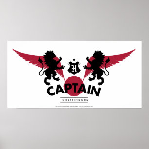 Poster Harry Potter   GRYFFINDOR™ House Quidditch Captain