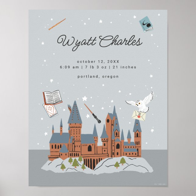 Poster Harry Potter Hogwarts statistiques de naissance de (Devant)