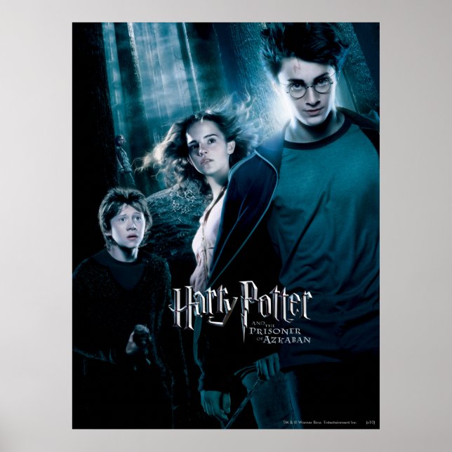 Poster Harry Potter Ron Hermione Dans la forêt (Devant)