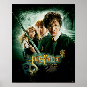 Poster Harry Potter Ron Hermione Dobby Photo de Groupe