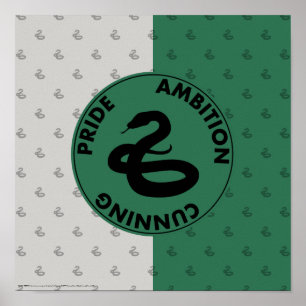 Poster Harry Potter   SLYTHERIN™ Caractéristiques graphiq